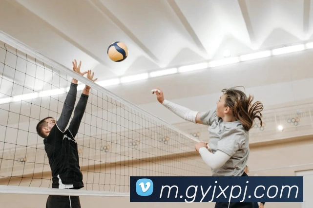 新葡京娱乐APP 封面图